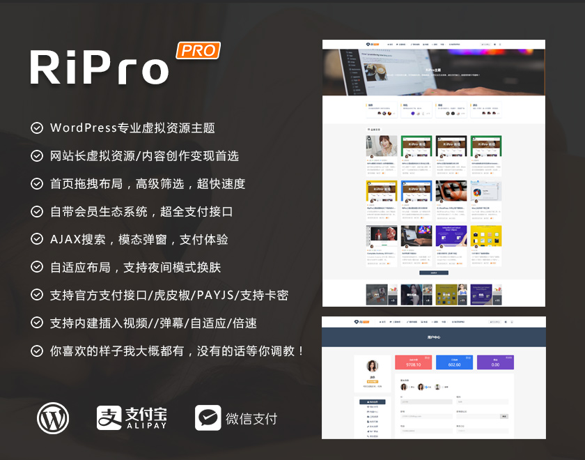 图片[1]-RiPro9.0-WordPress日主题修复明文免授权完整版-河极