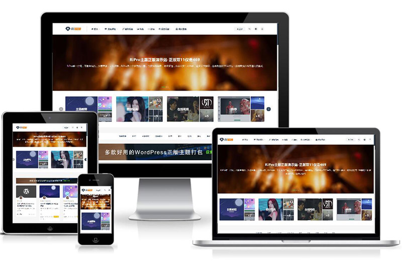 RiPro9.0-WordPress日主题修复明文免授权完整版-河极